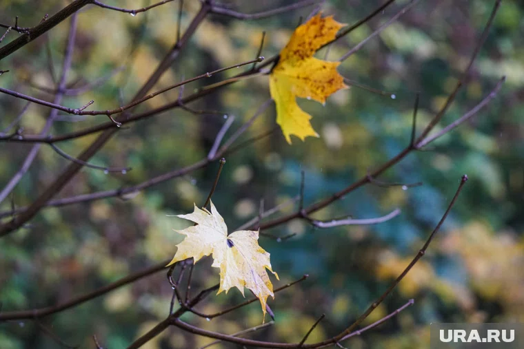 В некоторых частях региона ожидается как снег, так и дождь