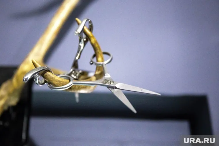 Одним из орудий убийства стали ножницы