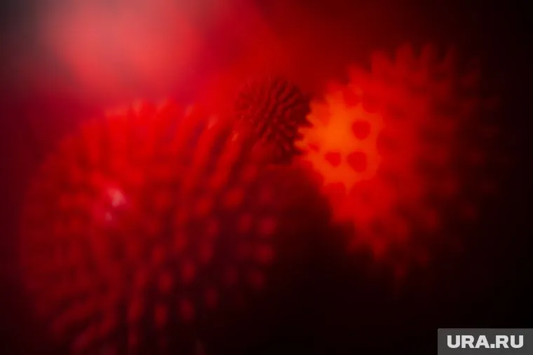 Алексей Аграновский рассказал, что коронавирус способен проникать в ткани человеческих органов