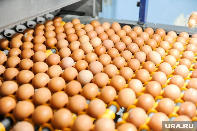 ЦМАКП предложил заморозить стоимость ряда социально значимых продуктов питания