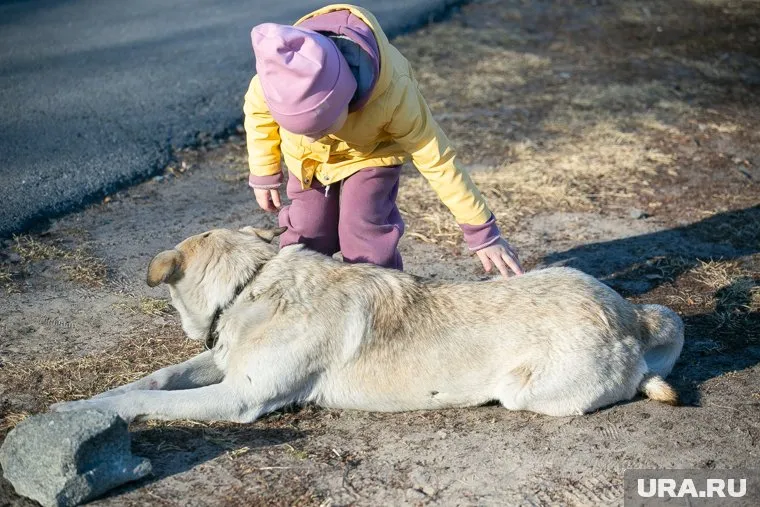 Уральцы умеют помогать людям, попавшим в беду