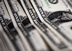 Фотография из галереи