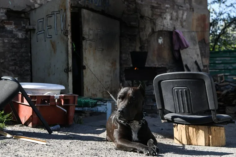 Мариуполь в период вывода гражданских лиц с завода Азовсталь. ДНР/Украина