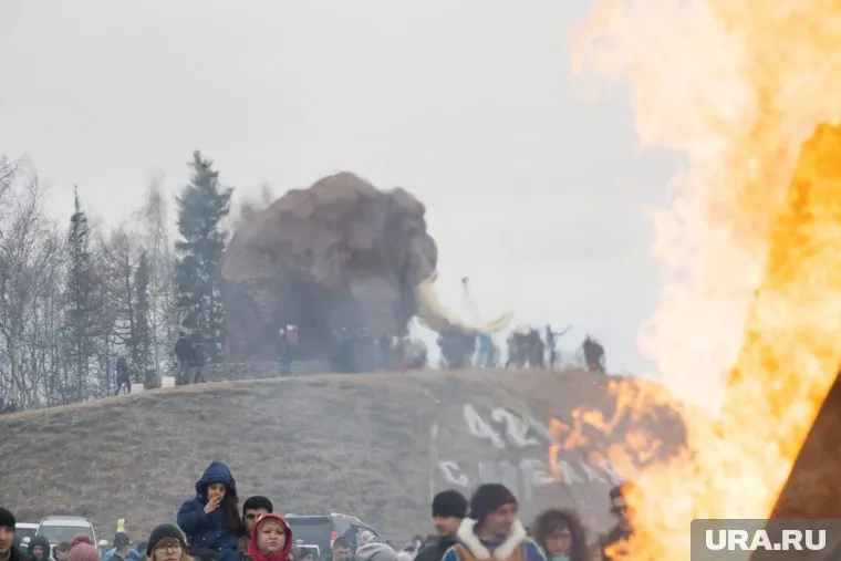Салехардского мамонта спасли с помощью противогаза
