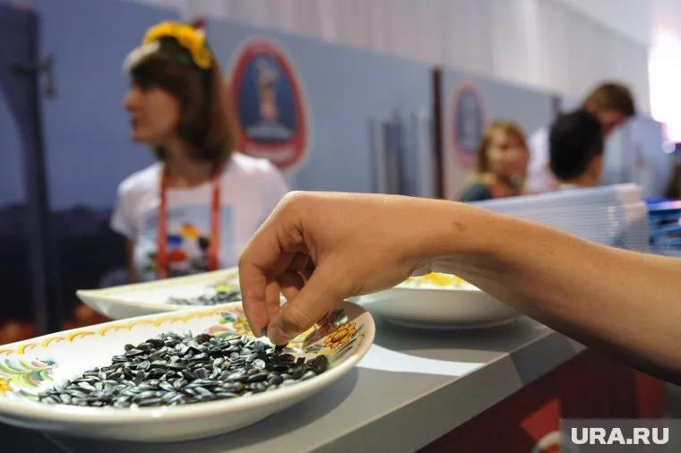 Челябинские семечки теперь не поставляются в Германию 