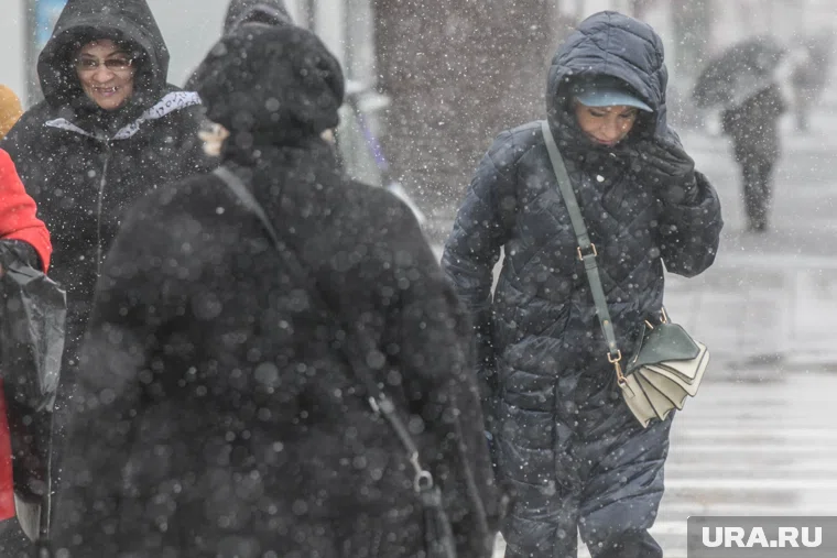 Вместе с ветром в регионе ожидаются небольшие дожди