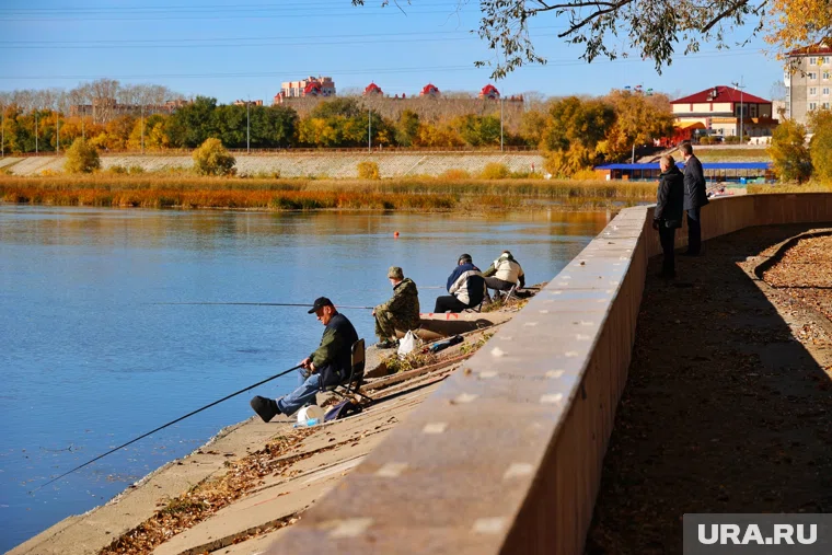 Курганцев ждет последнее «большое» тепло перед похолоданием