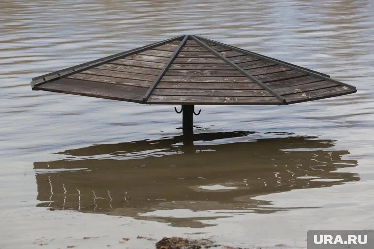 Топиарные динозавры в парке Пыть-Яха оказались в воде