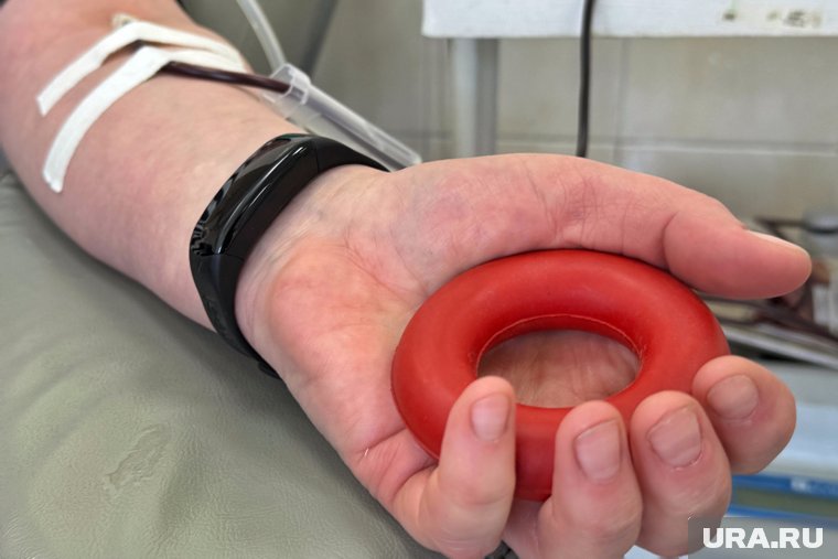 Курганская станция переливания крови получила награду за вклад в развитие донорства. Фото