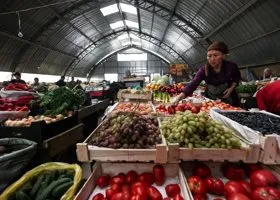 Россия полностью импортозаместит все продукты питания
