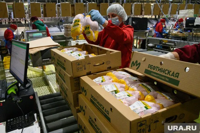 Производство курицы выросло на 0,7% в сравнении с аналогичным периодом прошлого года