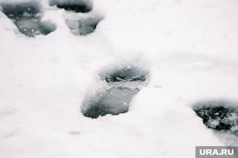 Мокрый снег в Москве будет тяжелым и может налипать на провода и деревья, заявил Вильфанд