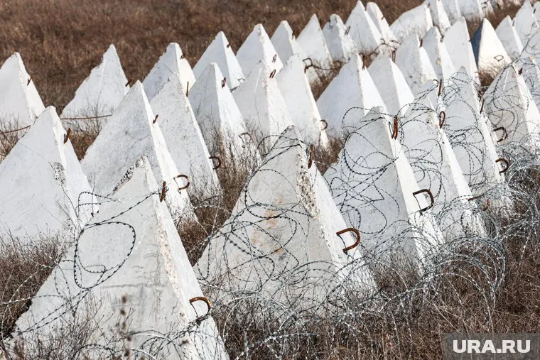 Уголовное дело завели по результатам экспертизы «зубов дракона»