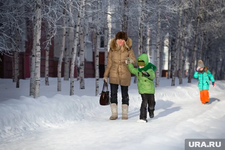 Детей не придется укутывать и вести по холоду до школы