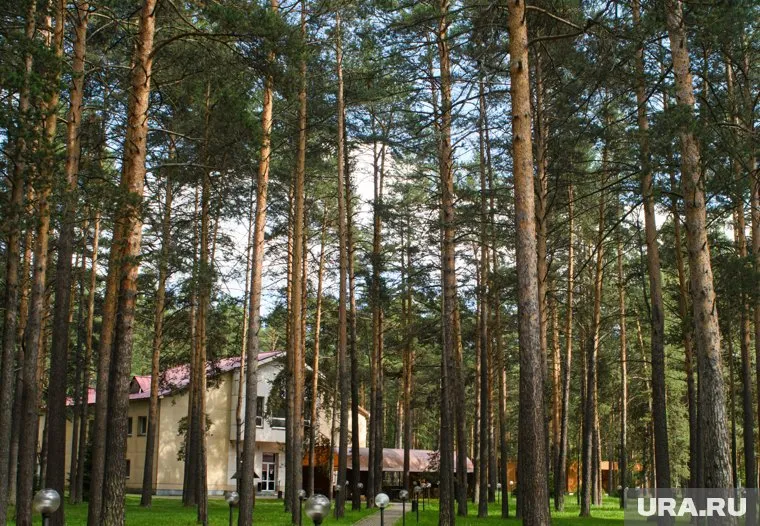 Вода в дом поставляется напрямую из санатория