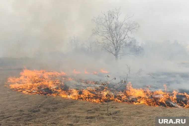 Первоначально площадь пожара не превышала двадцати гектаров