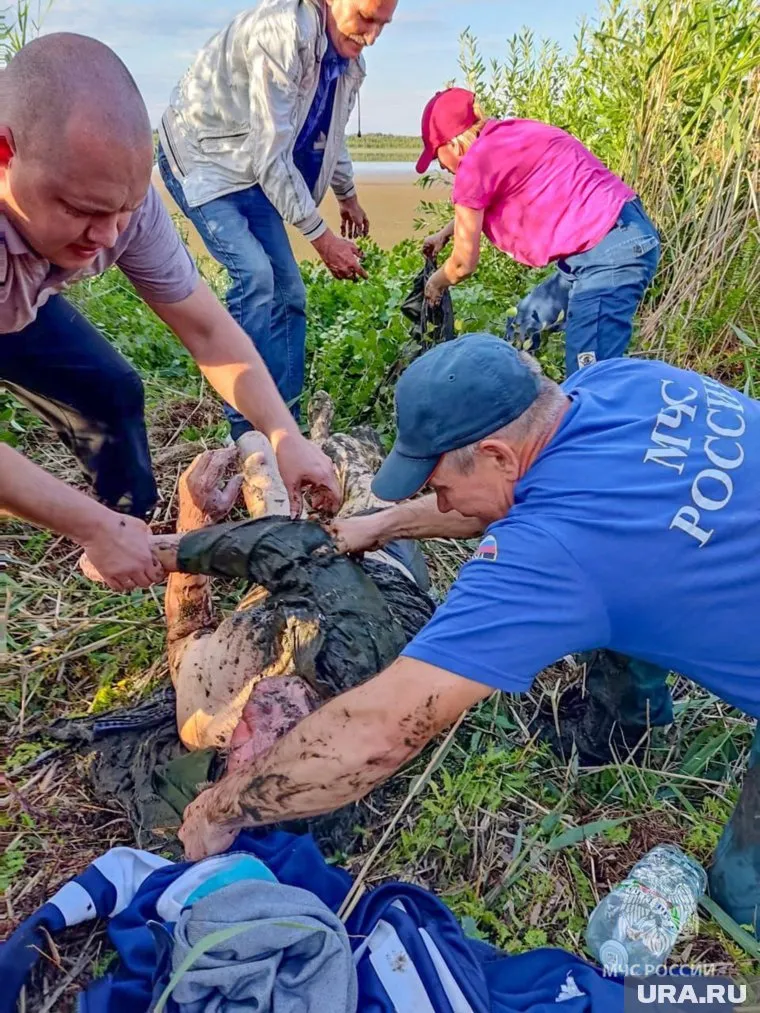 Спасатели нашли 80-летнего грибника в трясине