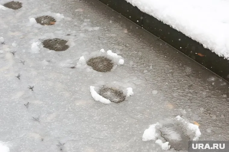 Потепление будет сопровождаться осадками в виде мокрого снега