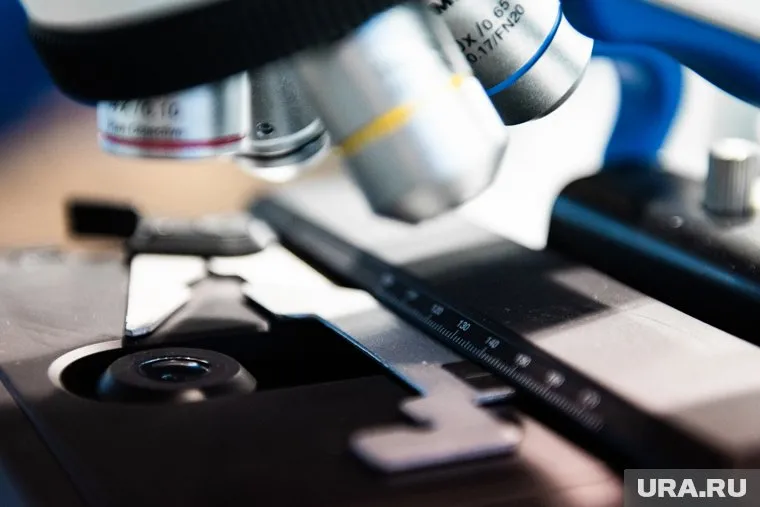 Компания из Кургана, торгующая американской медтехникой, в два раза снизила чистую прибыль