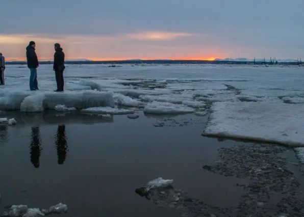Фотография из галереи