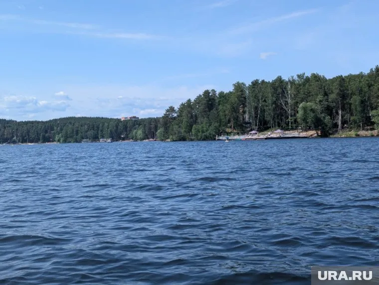 Еловое прекрасно в любой сезон, но летом особенно
