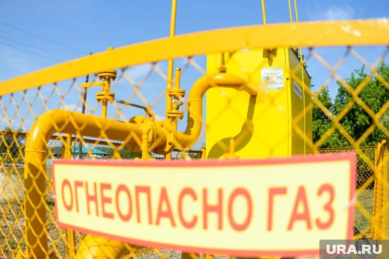 Россия получает свою выгоду от поставок газа Европе, отметил Путин