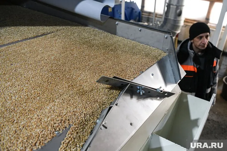 Первая партия овса, отправленного из Тюмени в Китай, составила треть от всего объема, экспортированного в 2023 году