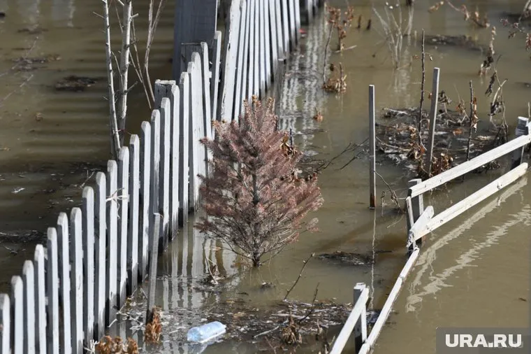 Жителей призывают к немедленной эвакуации из подтопляемой зоны
