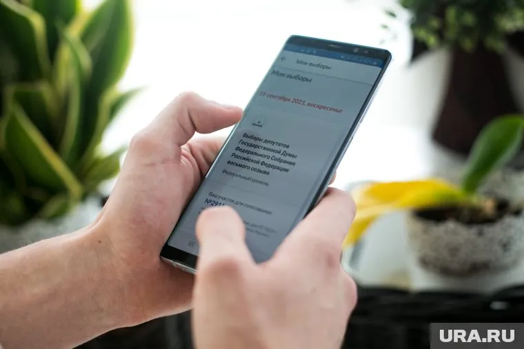 «Единая Россия» лидирует по результатам онлайн-голосования