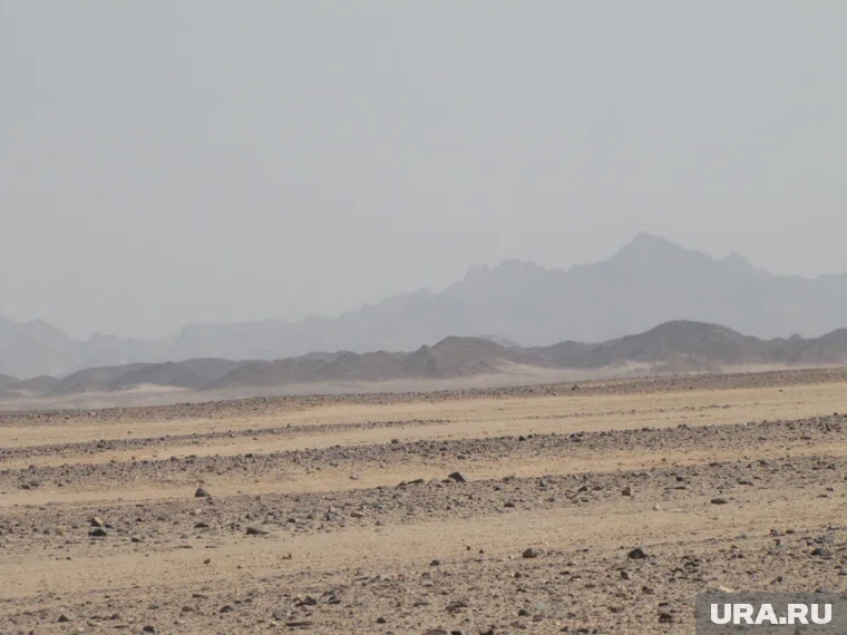Точное число тел, погребенных в пустыне, неизвестно, указано в материале (архивное фото)