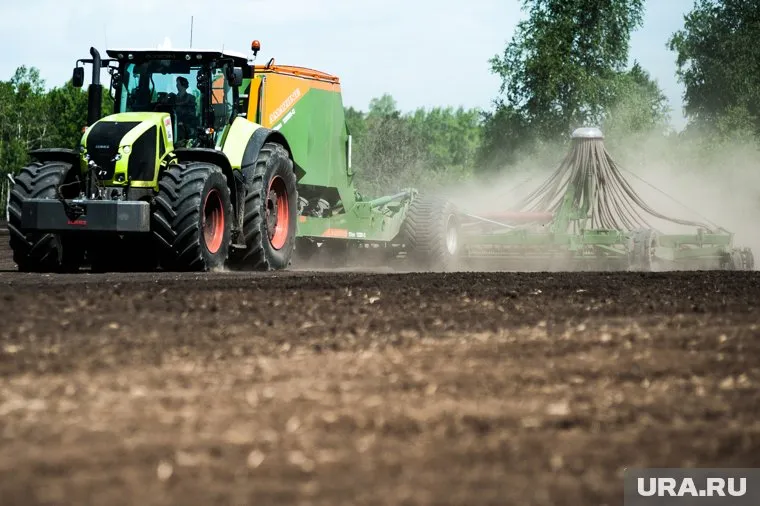 Курганские сельхозпроизводители из-за санкций объединяются в кооперативы