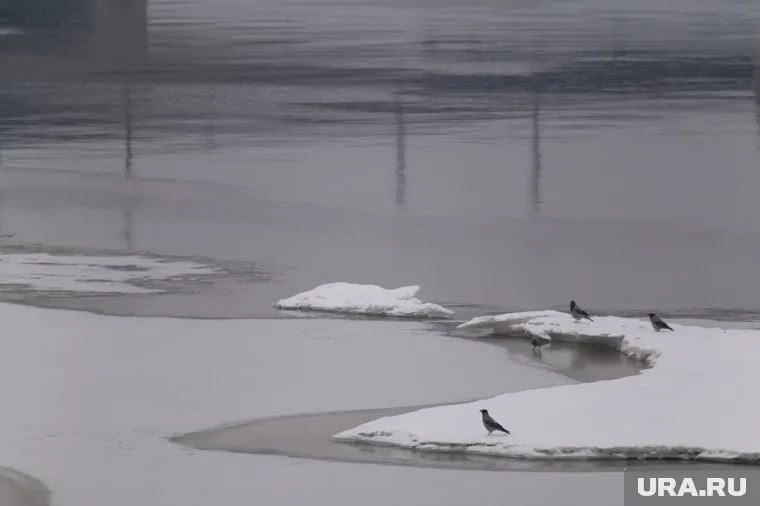 Разлившаяся река затопила дорогу