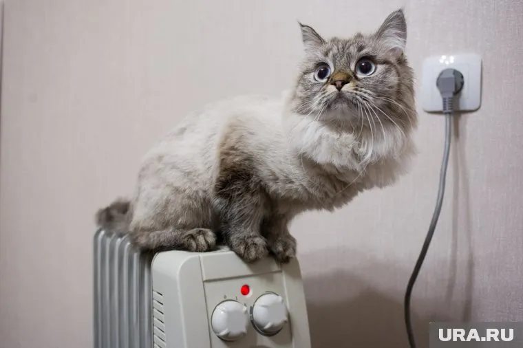 У 28 млн британцев есть риск отключения отопления