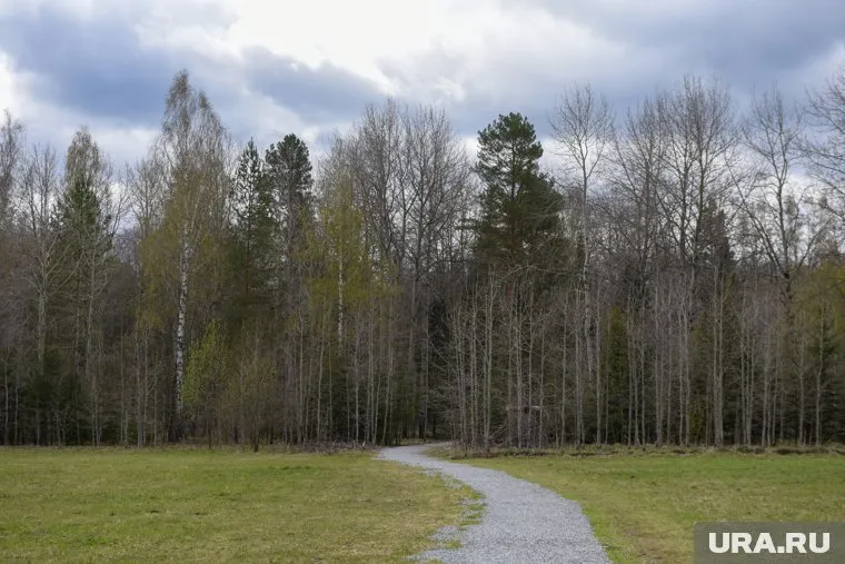 Мужчину заметили недалеко от ТЦ «Аура»