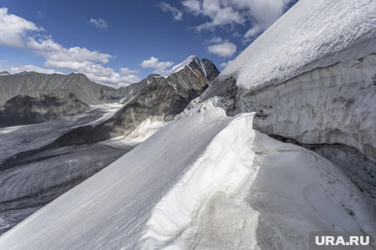 Трамп хочет, чтобы Гренландия отошла США