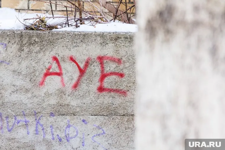 Сторонники АУЕ могут оказаться в тюрьме на 12 лет