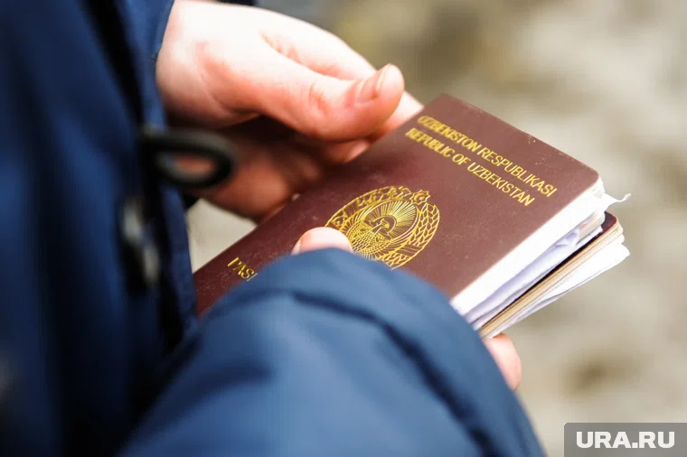 Челябинцы помогали иностранцам незаконно оставаться в России