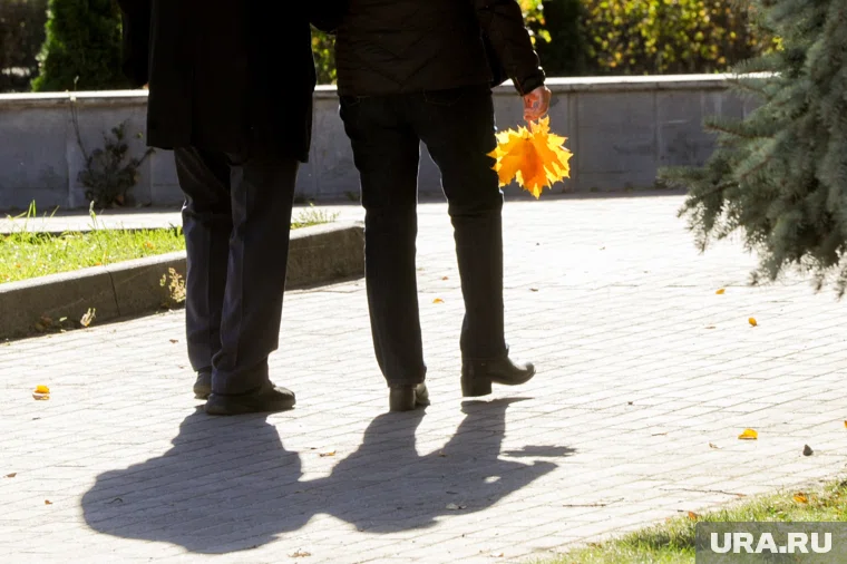 Теплая осень вернется на пять дней