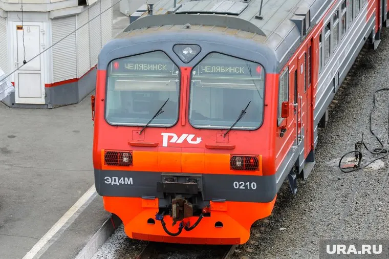 Патрушев-младший ждет «разрешающего семафора»