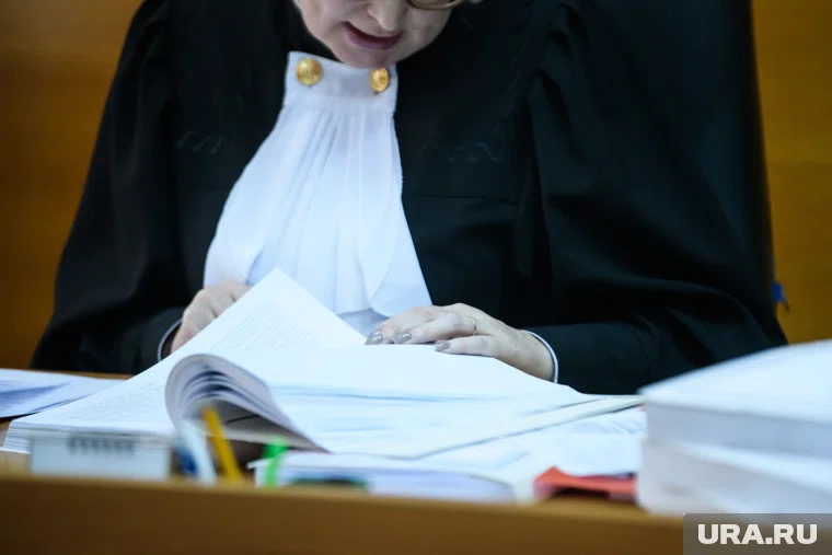 Судья Светлана Мальцева обвиняется в получении взяток на 4,75 млн рублей за решения по делам о банкротстве