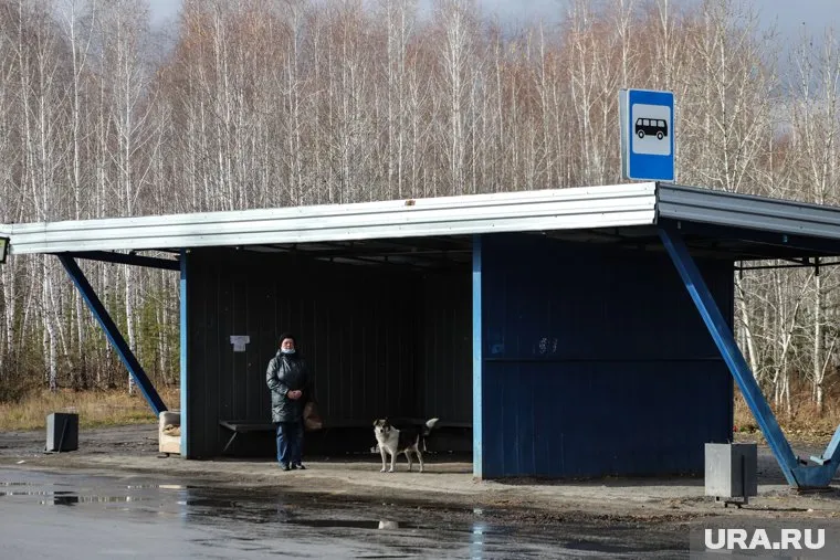 Остановочные пункты появятся на дорогах регионального и муниципального значений