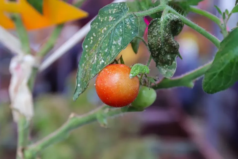 Пресс-тур, посвященный реализации программы «5 шагов для городов». Екатеринбурге.