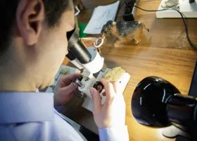 В России появится новая система оценки эффективности ученых