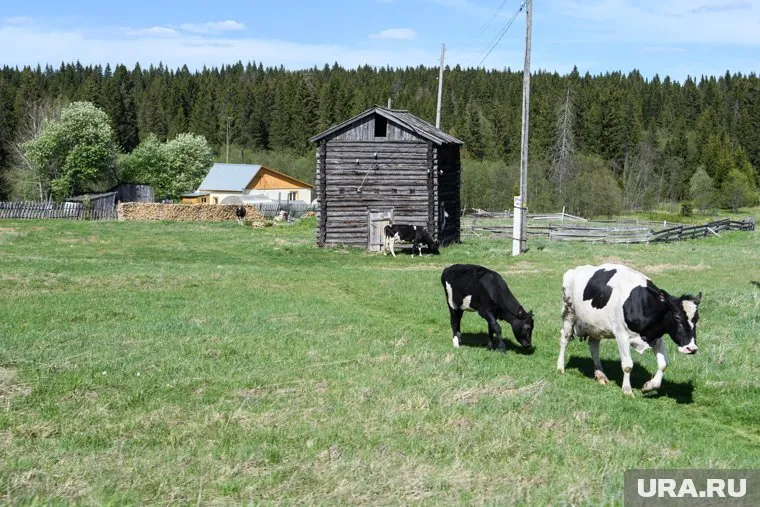 Российские села могут стать популярным направлением для туризма
