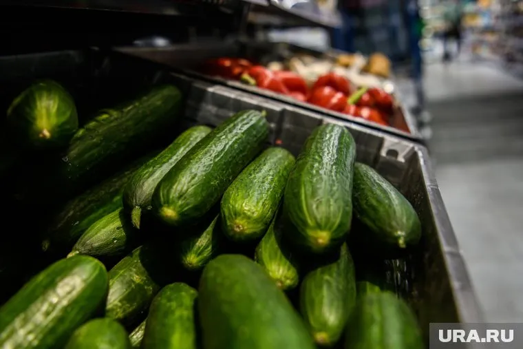 Минимальная стоимость килограмма огурцов по городу — 79 рублей