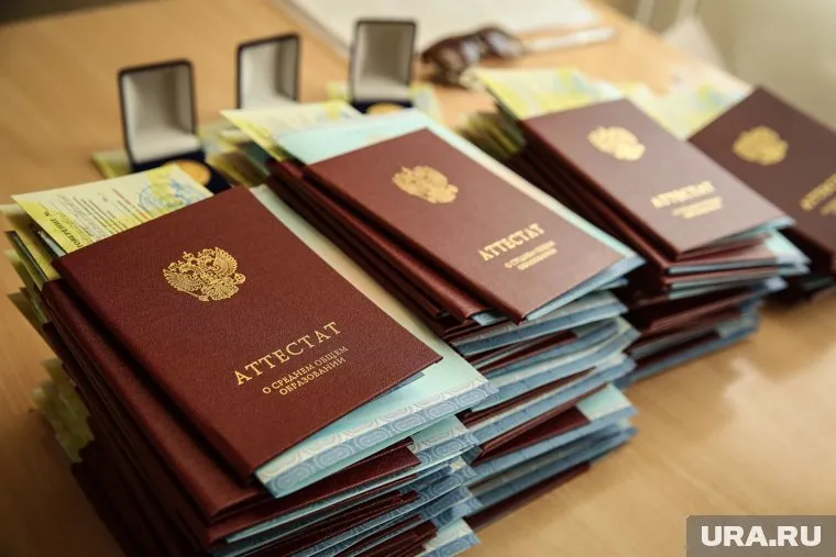 В правительстве РФ отметили, что школьники, которые обучались за границей, получат российские аттестаты