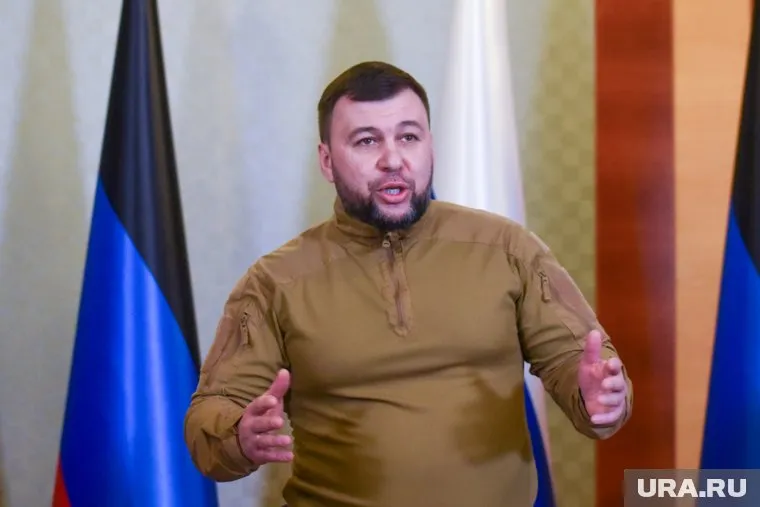 Денис Пушилин нашел нового советника главы ДНР по гуманитарным вопросам