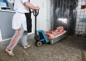 Россиян пугают дефицитом продуктов