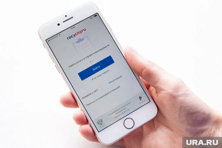 Сбои на Госуслугах происходят из-за провайдера и технических проблем