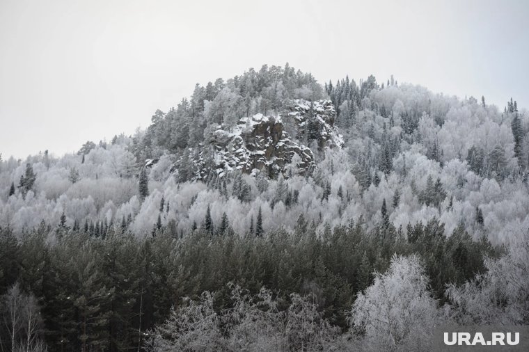 Профайлер объяснил странное поведение Усольцева перед исчезновением семьи в тайге